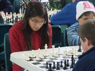 Chess Rookies do well