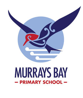 Murrays Bay Primary School Coaching Class