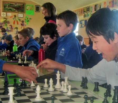 Norwest News - Chess kids learn Skills