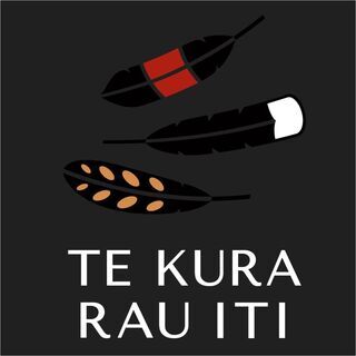 Te Kura Rau Iti Coaching Class