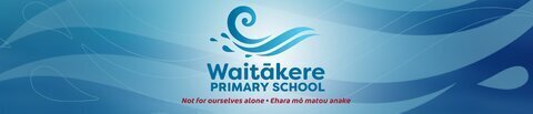 Waitakere Primary School Chess Coaching Class