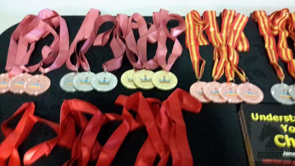 National Finals medals