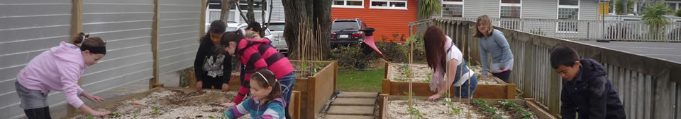 Massey Primary gardening activity