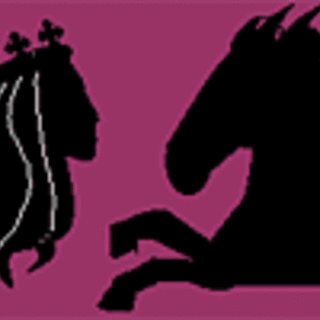 Beauty Queens and Battling Knights