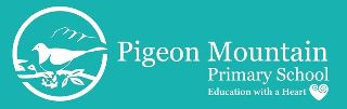 Pigeon Mountain School Coaching